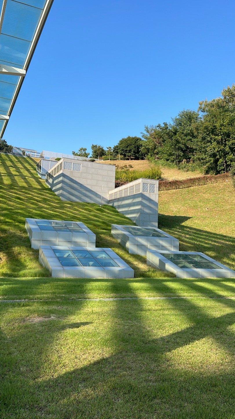 6_6